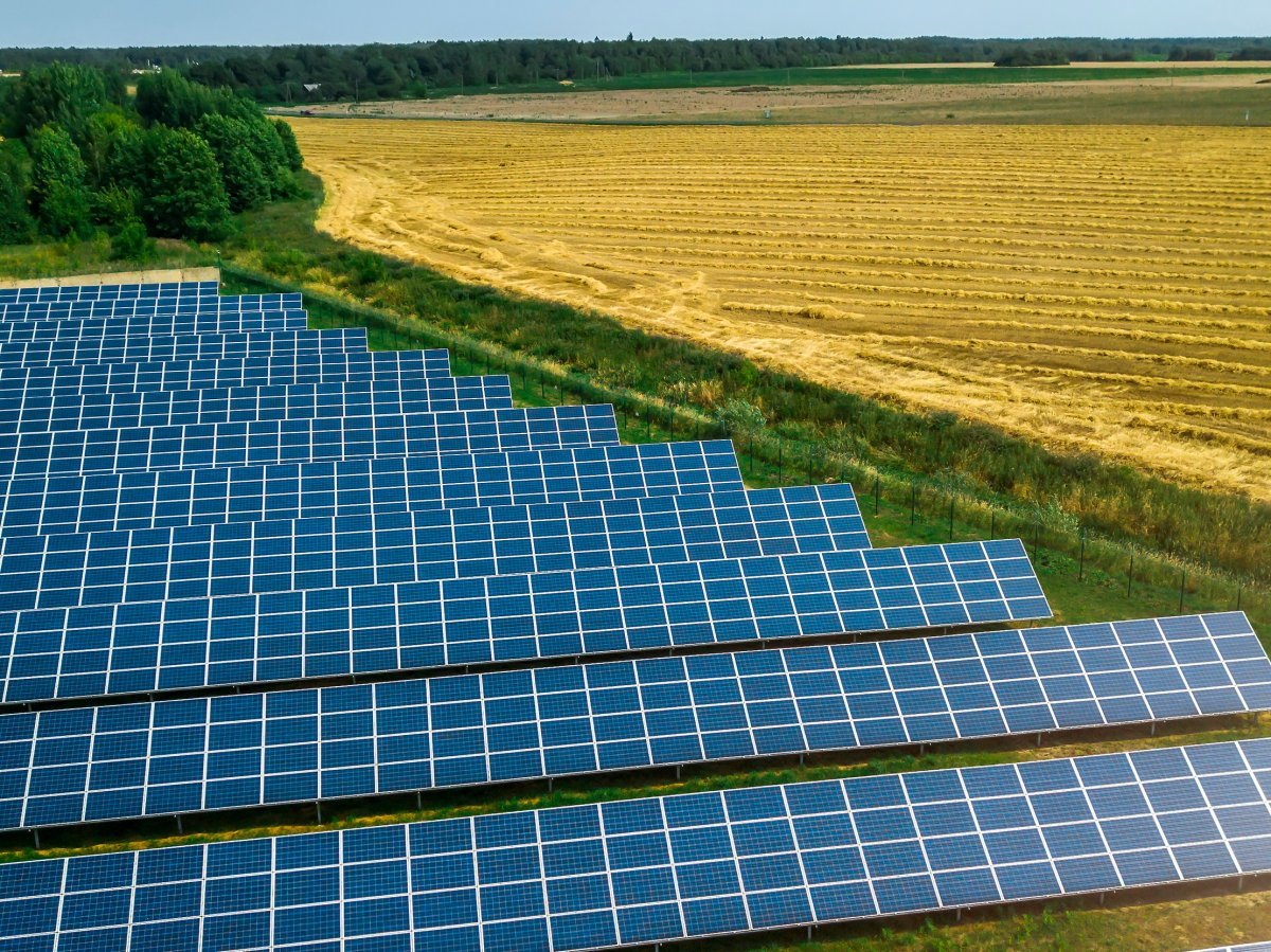 Solar Project Management for Utility-Scale Solar Farms